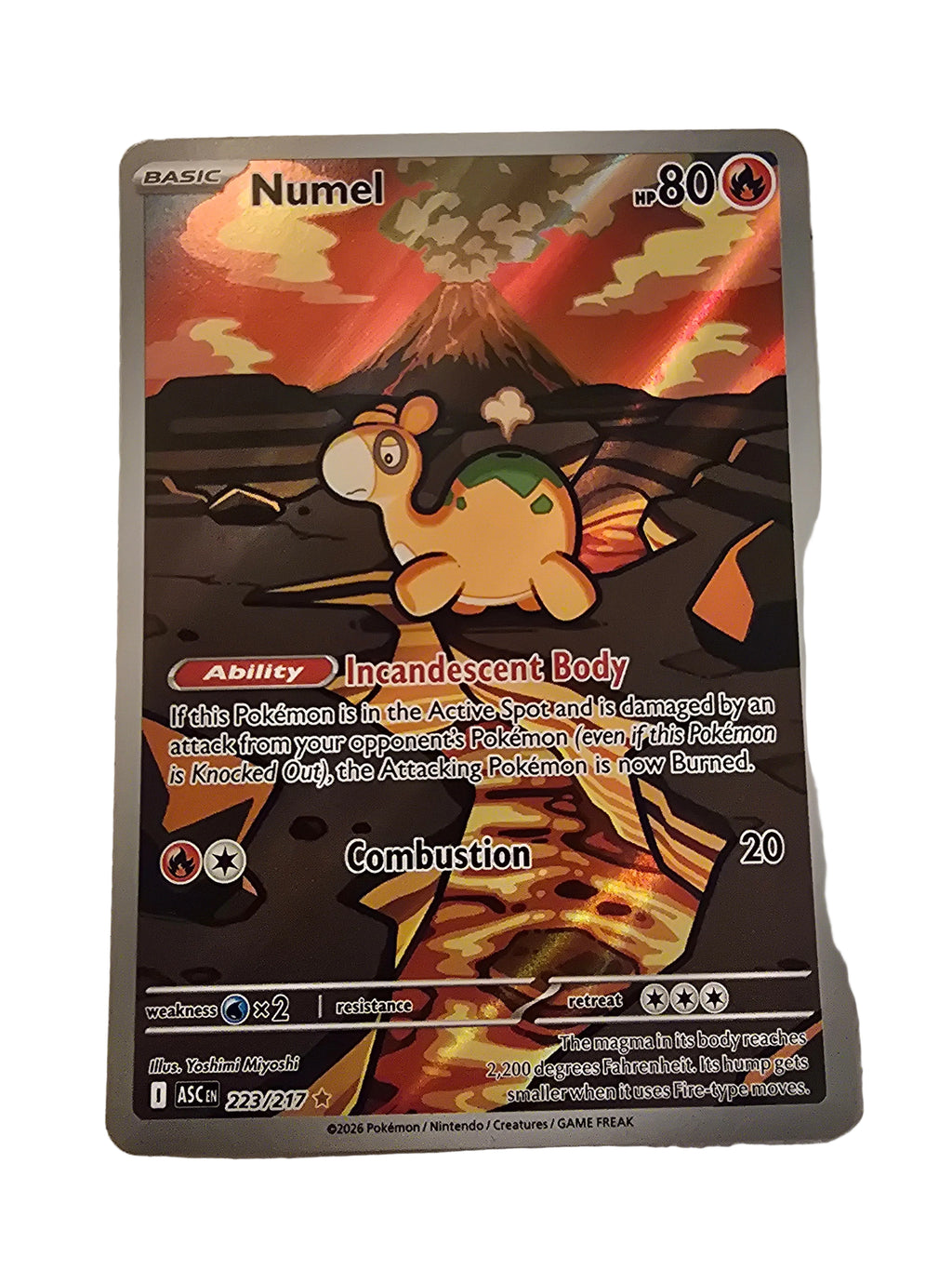 223/217 Numel ENG