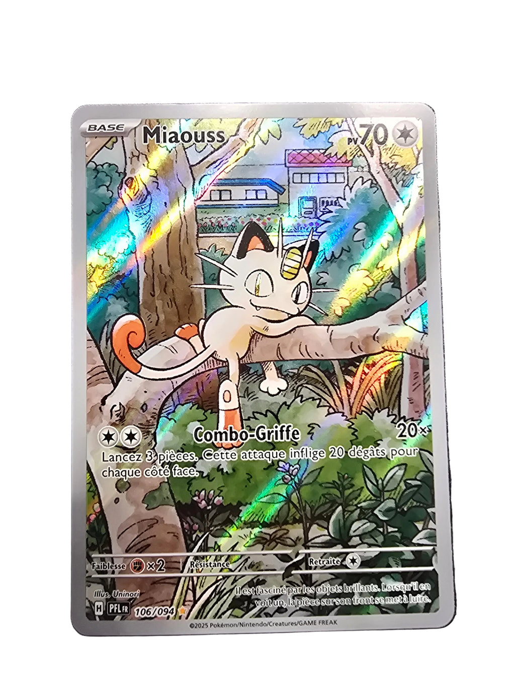 106/094 Miaouss FR