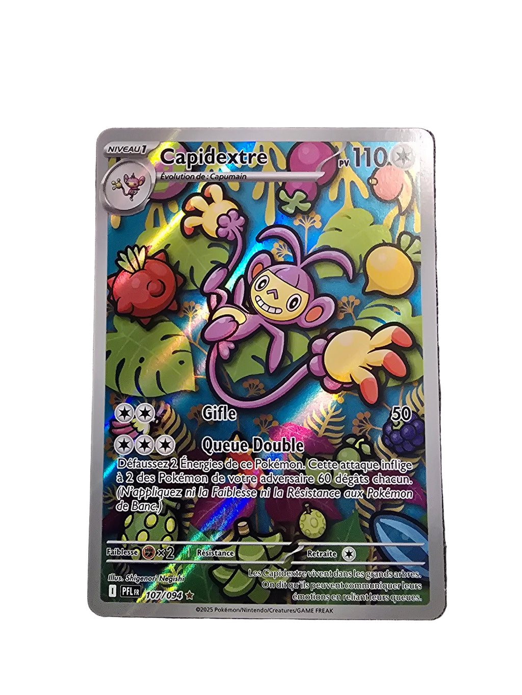 107/094 Capidextre FR