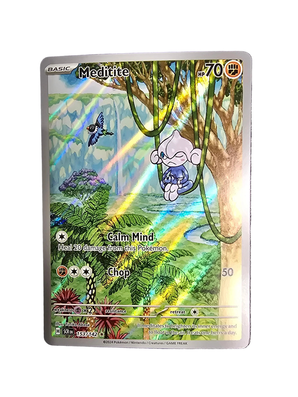153/142 Meditite ENG