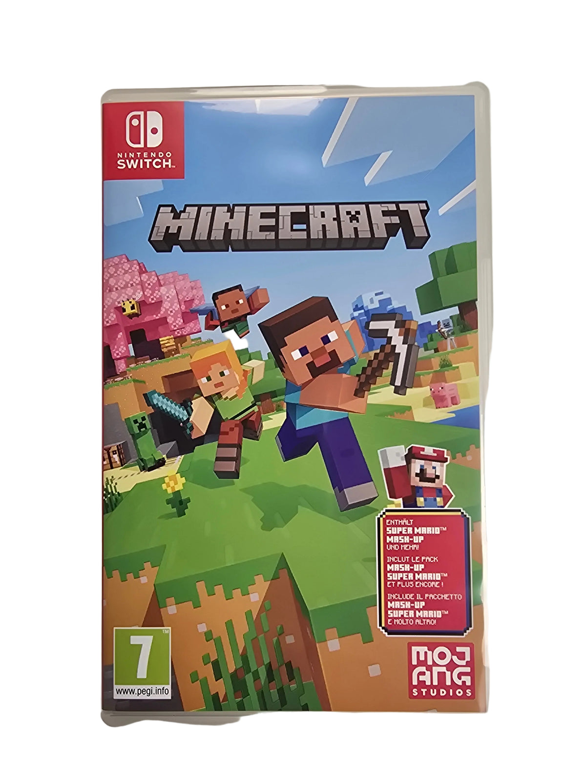 Minecraft SWITCH