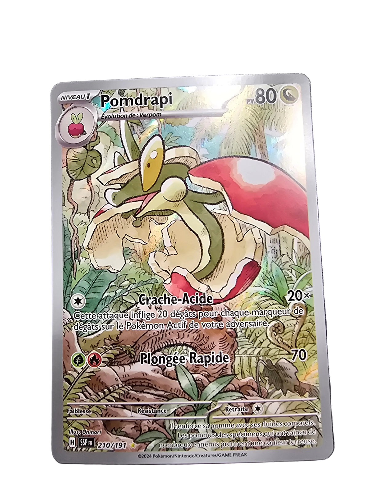 210/191 Pomdrapi FR