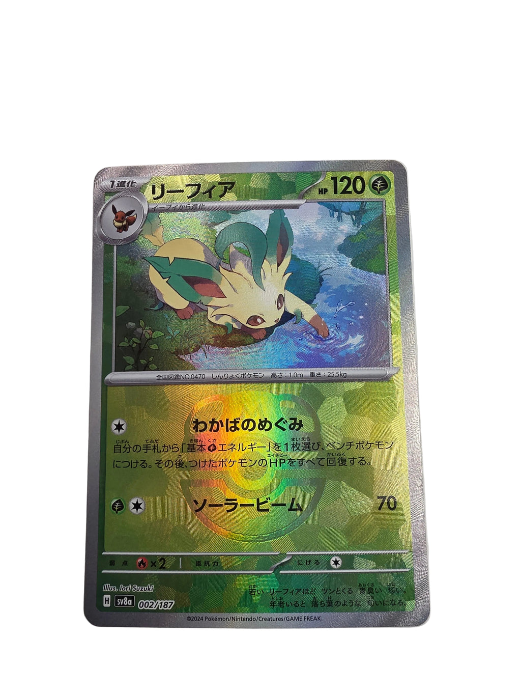 002/187 Phylalli JAP