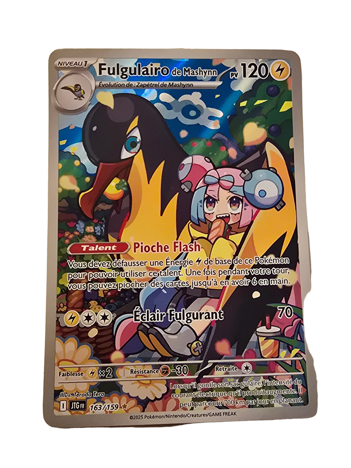 163/159 Fulgulairo de Mashynn FR